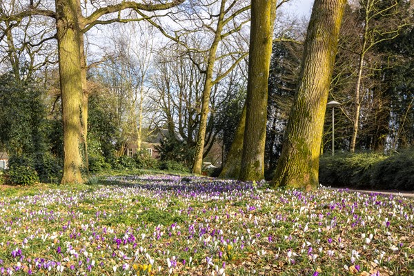 Medium property photo - Byronstraat 46, 3533 VZ Utrecht